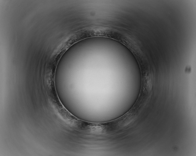 X0000116160698200911231405