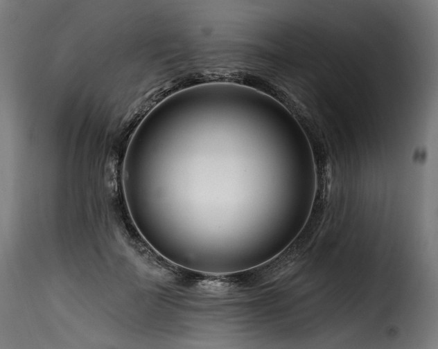 X0000116160699200911231405