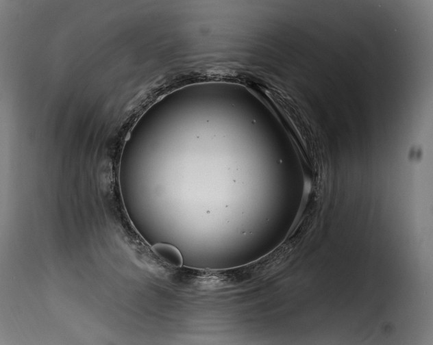 X0000116160704200911231405