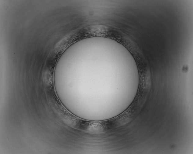 X0000116160705200911231405