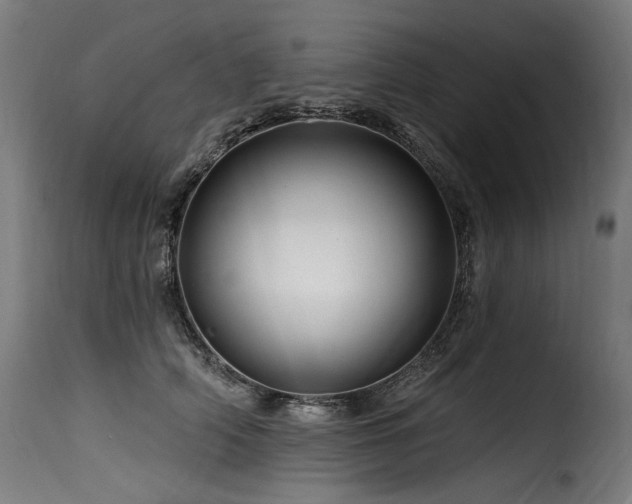 X0000116160706200911231405