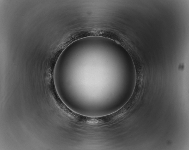 X0000116160707200911231405