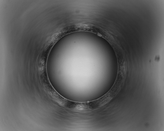 X0000116160708200911231405