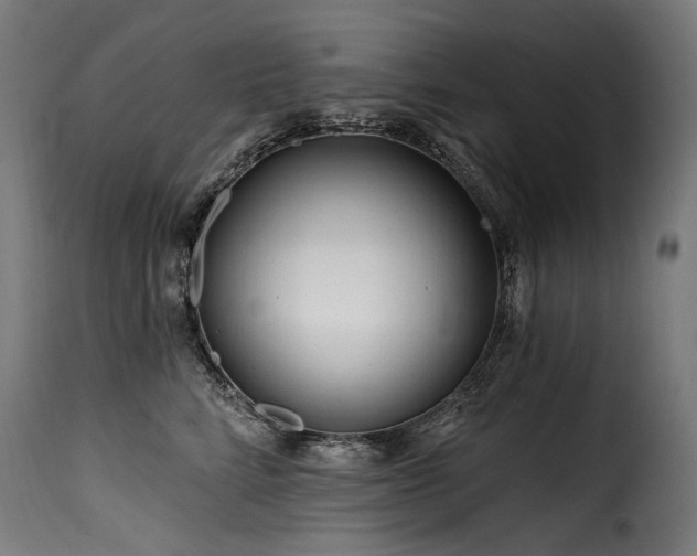 X0000116160712200911231405