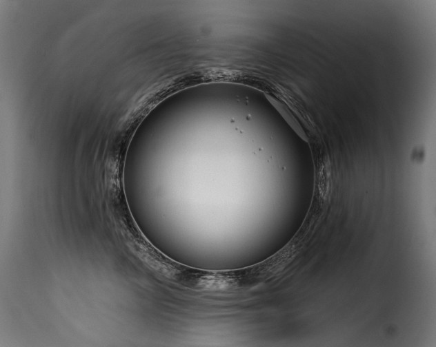 X0000116160714200911231405