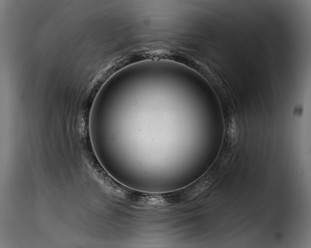 X0000116160715200911231405