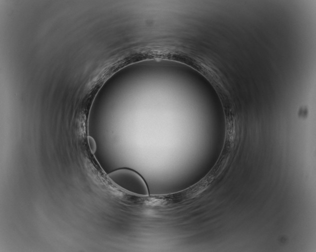 X0000116160718200911231405