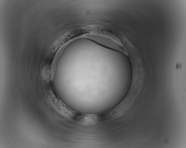 X0000116160720200911231405