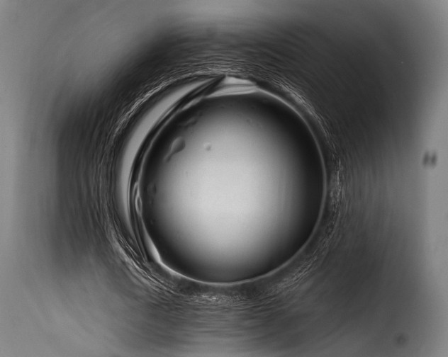 X0000116160722200911231404