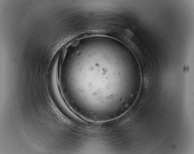 X0000116160725200911231404