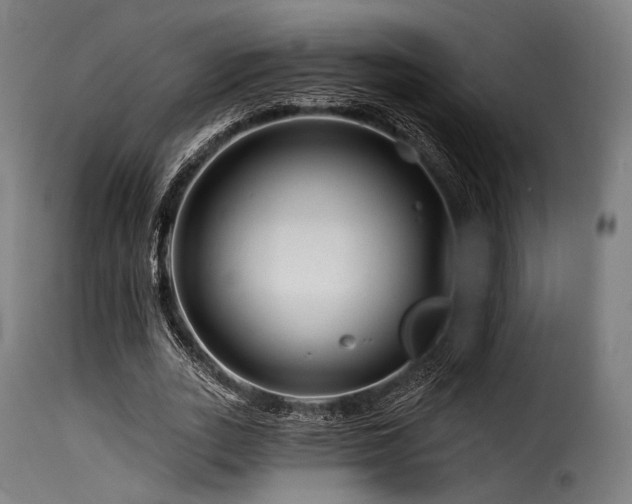 X0000116160727200911231404