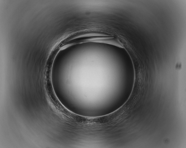 X0000116160730200911231404