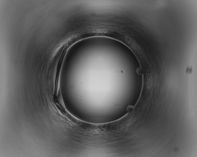 X0000116160731200911231404