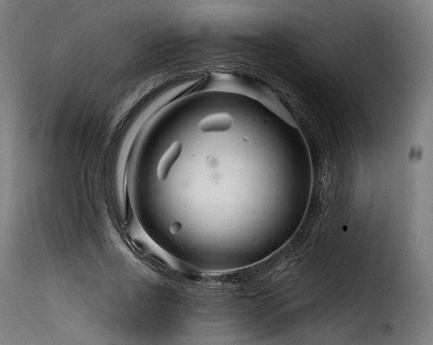 X0000116160734200911231404