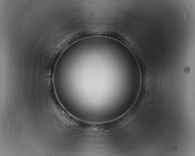 X0000116160737200911231404