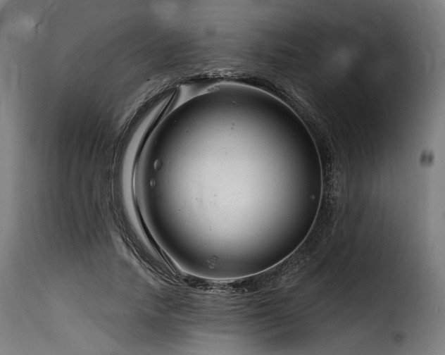 X0000116160738200911231404