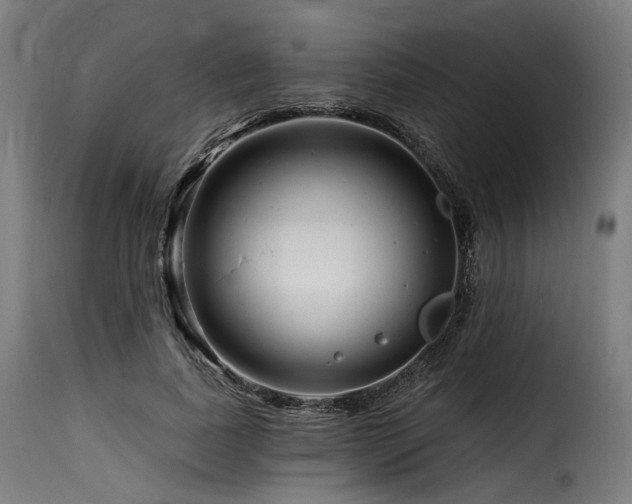 X0000116160739200911231404