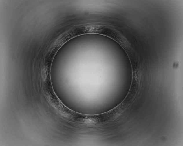 X0000116160741200911231404