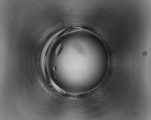 X0000116160742200911231404