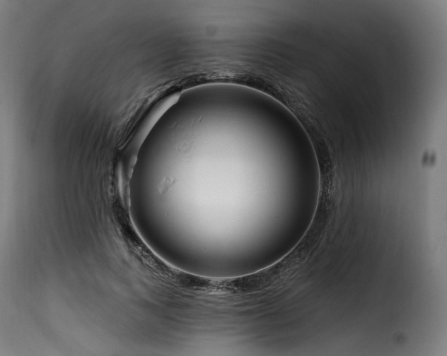X0000116160743200911231404
