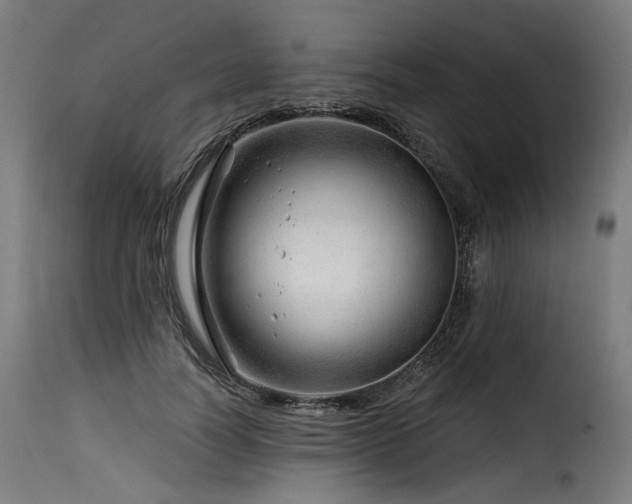 X0000116160746200911231404