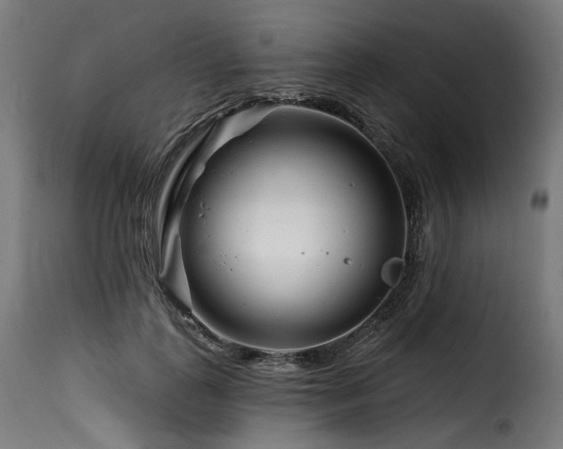 X0000116160747200911231404