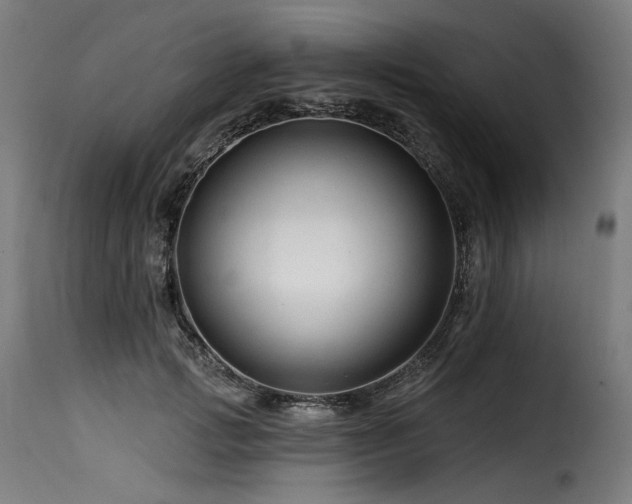 X0000116160749200911231404