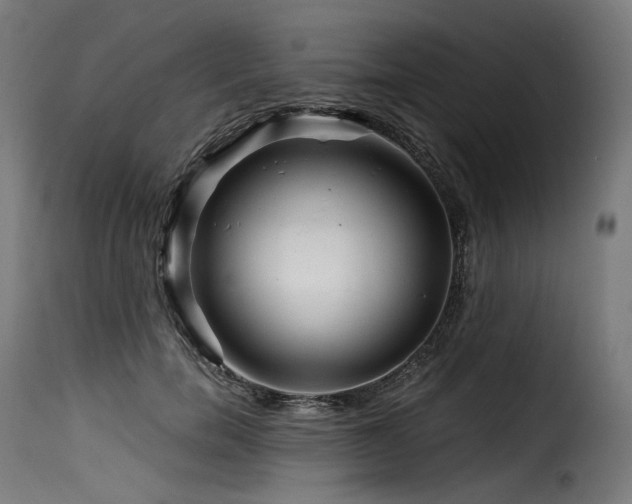 X0000116160750200911231404