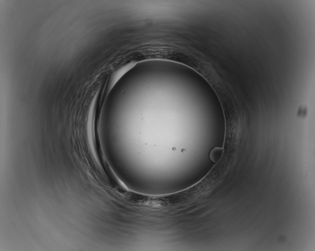X0000116160751200911231404