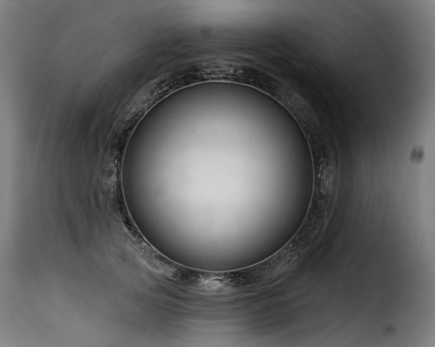 X0000116160753200911231404