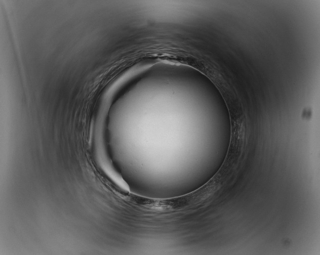 X0000116160754200911231404
