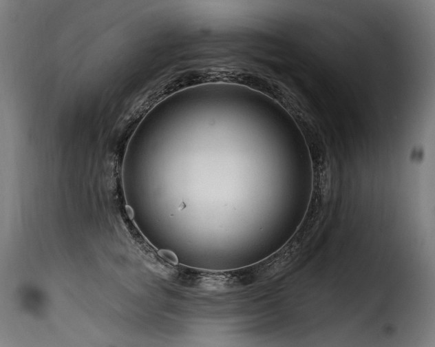 X0000116160757200911231405