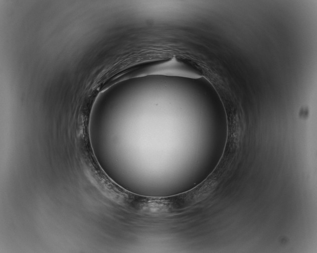 X0000116160758200911231405