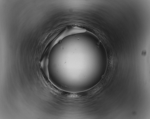 X0000116160759200911231405