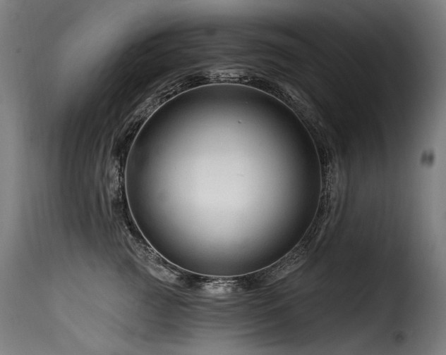 X0000116160761200911231405