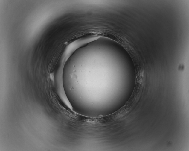 X0000116160763200911231405