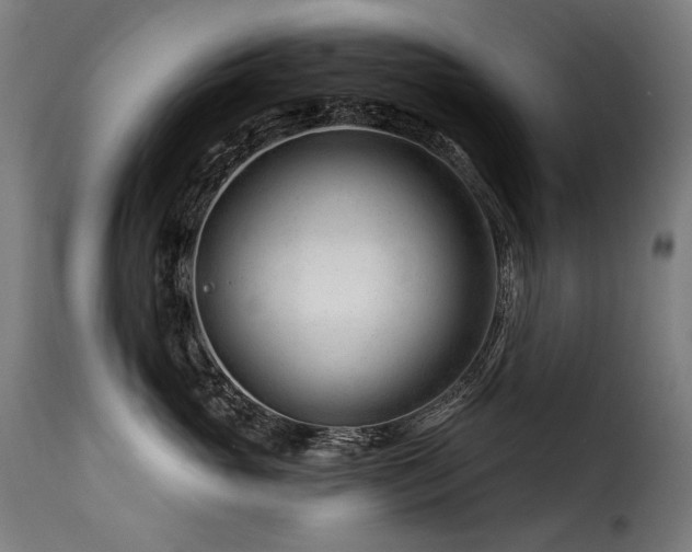 X0000116160765200911231405