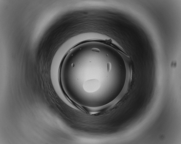 X0000116160766200911231405