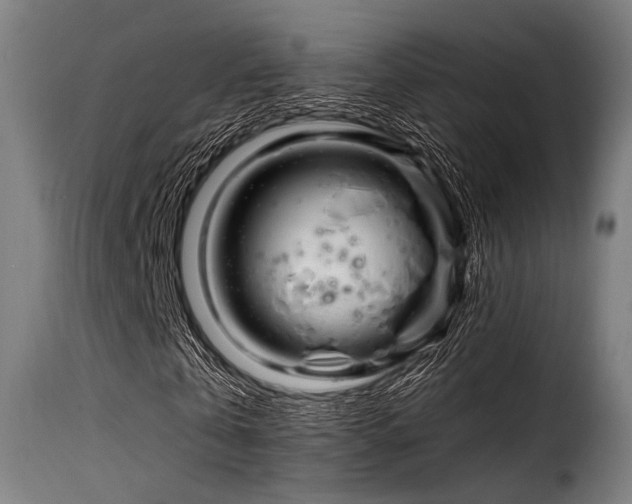 X0000116160769200911231404