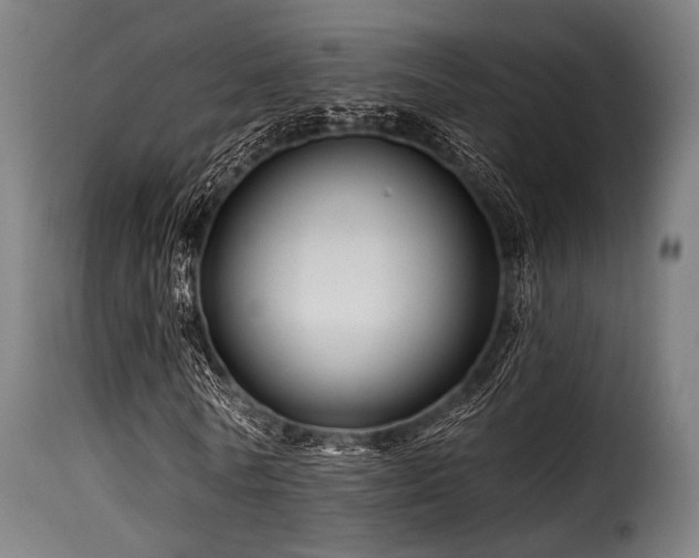 X0000116160770200911231404