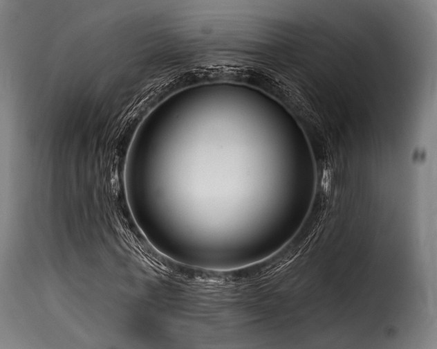 X0000116160771200911231404