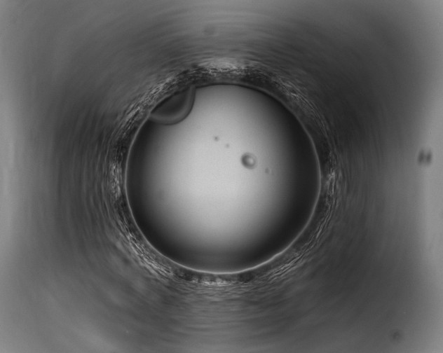 X0000116160772200911231404