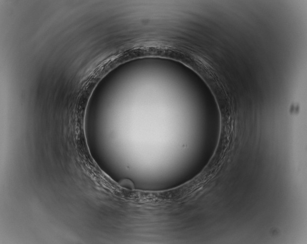 X0000116160774200911231404