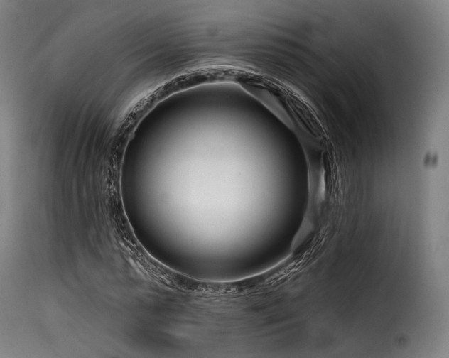 X0000116160775200911231404
