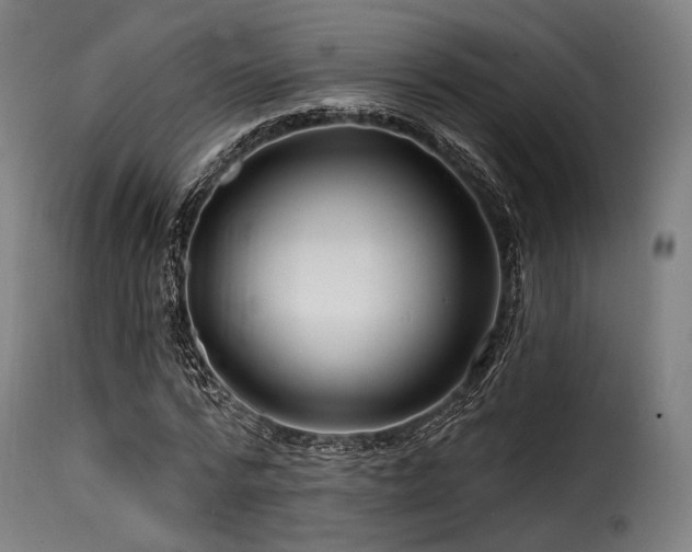 X0000116160776200911231404