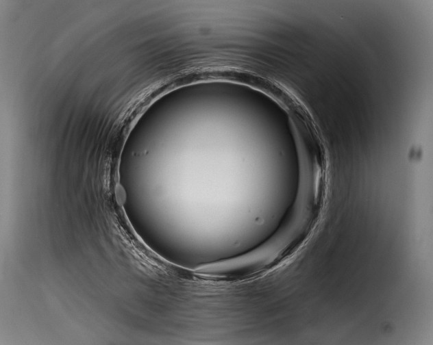 X0000116160777200911231404