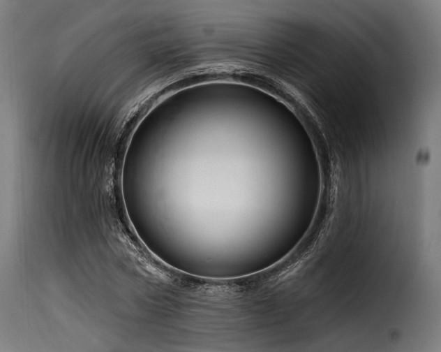 X0000116160778200911231404