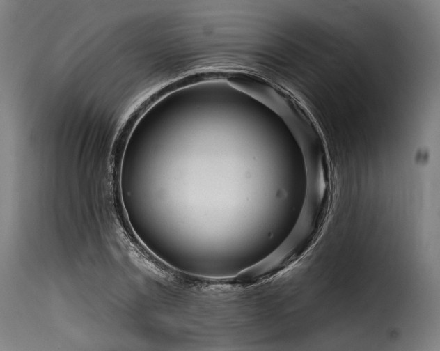 X0000116160779200911231404