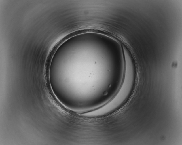 X0000116160780200911231404