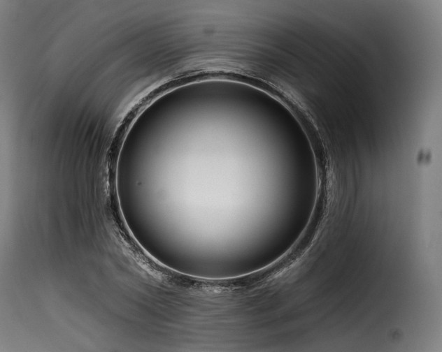 X0000116160782200911231404